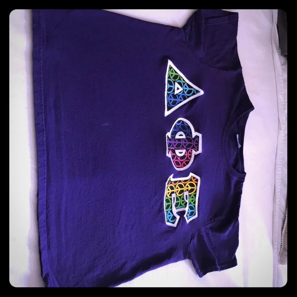 Delta Phi Epsilon Sorority Letters